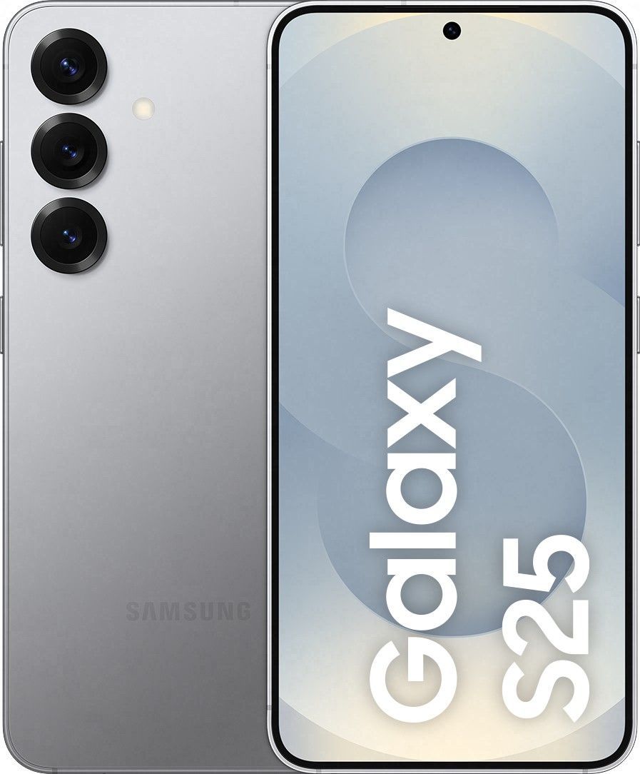 Samsung Galaxy S25 12/128gb Silver Shadow